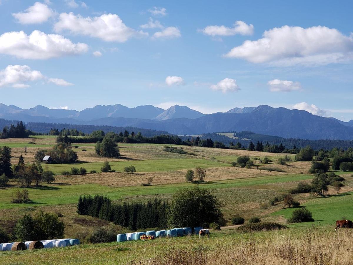 Domki I Pokoje Obok Term Chocholow U Tadka Экстерьер фото